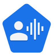 Voice Access Logo